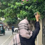 Fatema Jannati Ruhi
